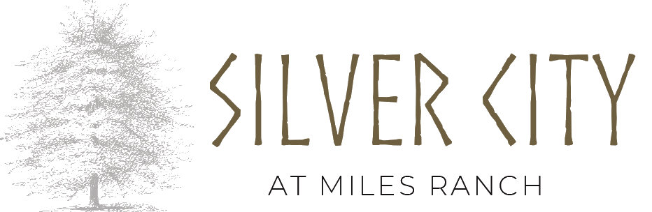 Silver City at Miles Ranch